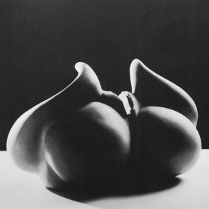 Erotična igra - Glina - 40x40x30cm -1993