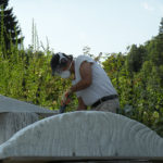 The Awakening of Spring – Carrara marble – 140x30x8,5cm – 2018